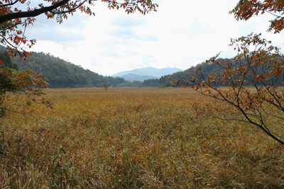 秋の気配が濃くなった2012年11月の中池見湿地