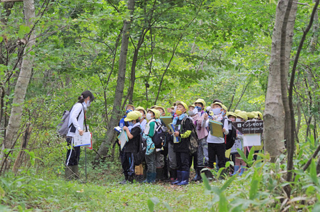 地域の小学生もウトナイ湖で自然を学ぶ