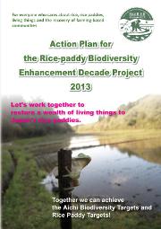 Action Plan for Rice BED