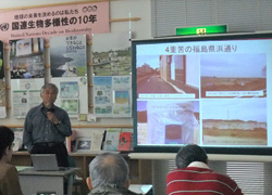 110430shinsai-5.jpg