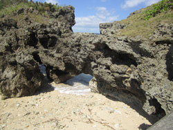 辺野古沖の平島