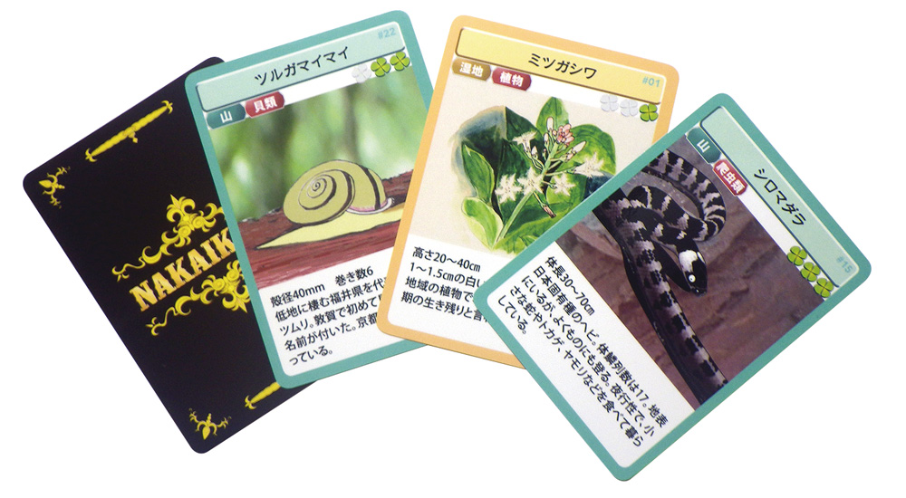 全部で42種類ある中池見生き物カード