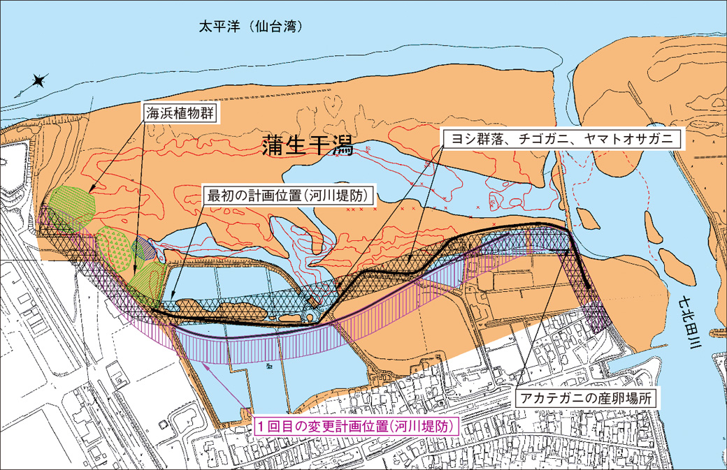 蒲生干潟図1