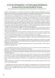 Action Plan for Rice BED