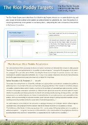 Action Plan for Rice BED