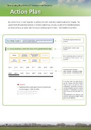 Action Plan for Rice BED