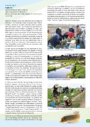 RiceBED_Project_Case_Studies