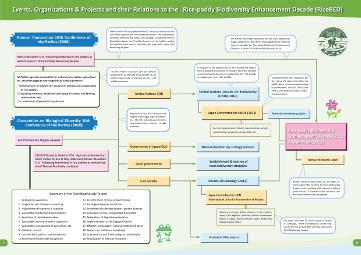 RiceBED_Project_Case_Studies