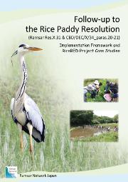 Rice BED Case Studies