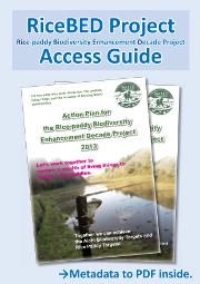 Action Plan for Rice BED